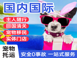 厦门机场快递国际宠物托运 【国